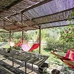 Olivo By Interhome * SantʼAntonio